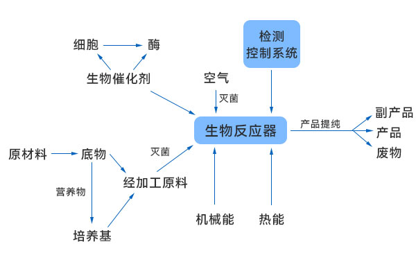 一般生物技術生產(chǎn)過程示意圖