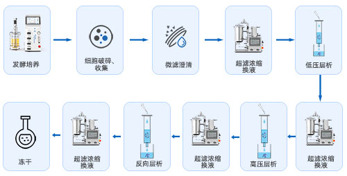 生物發(fā)酵下游工藝