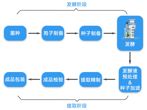 抗生素生產(chǎn)流程示意圖